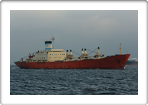 BALTIC WIND      7342988